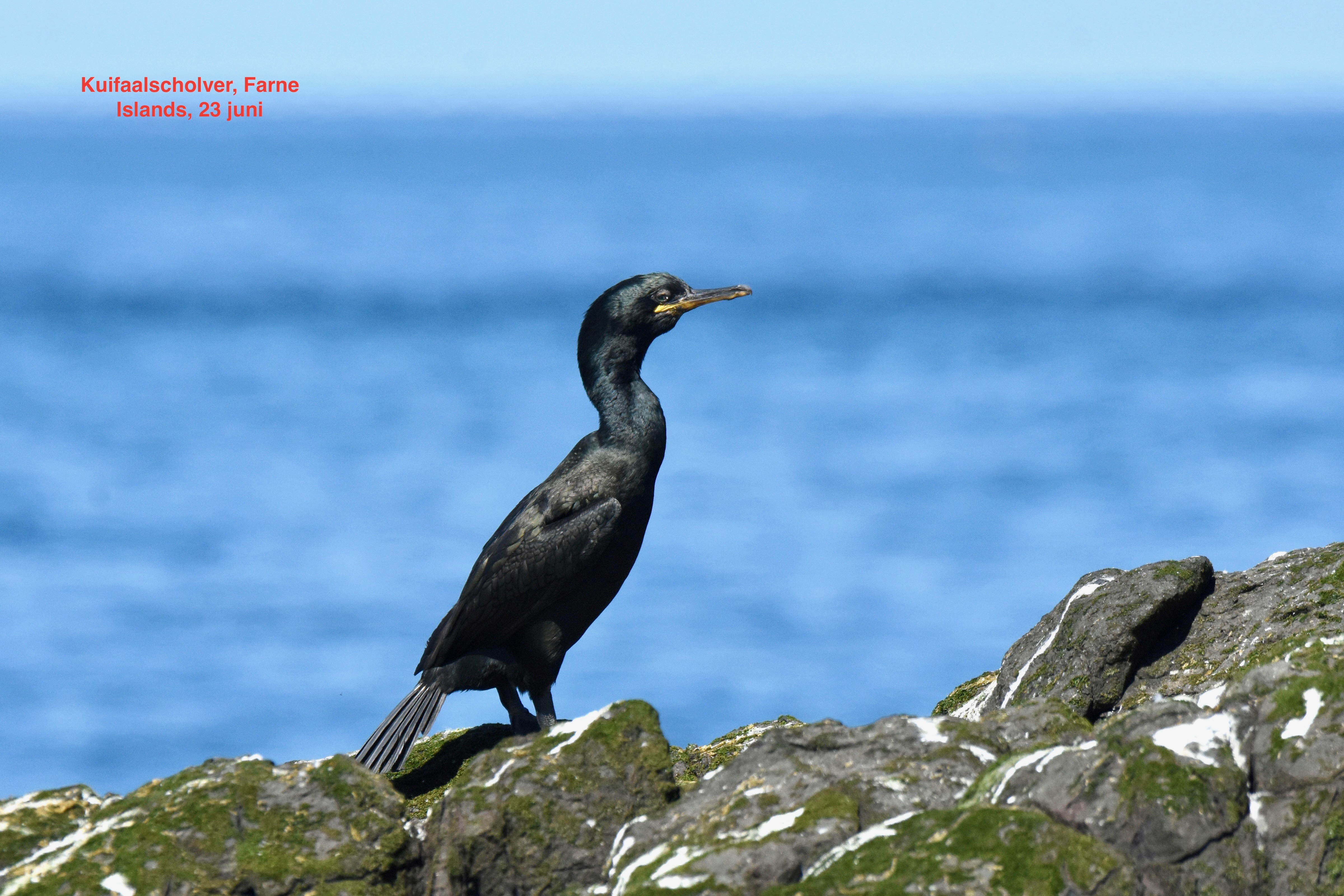 (Engeland). Foto van Ton Renniers.